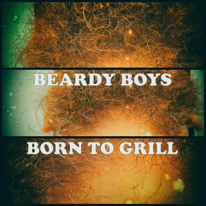 Download track Space Doctor Beardy Boys