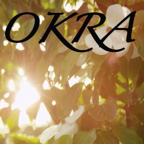 Download track Okra / Tribute To Tyler The Creator (Instrumental Version) 2018 Dj Moodz