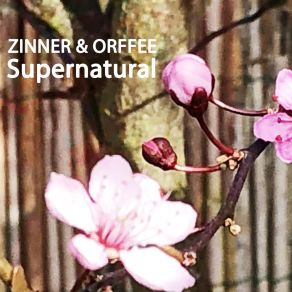 Download track Supernatural (Radio Edit) Zinner OrffeeZinner, Orffee