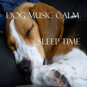 Download track Power Of Music Dog Music Calm