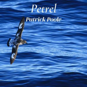 Download track Formalwear Patrick Poole