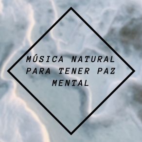 Download track Un Piano Tranquilo Música De La Naturaleza