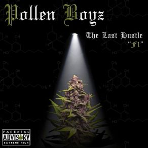 Download track Lost In The Clouds Pollen Boyz