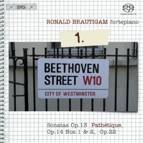 Download track 02. Piano Sonata No. 16 In G-Dur, Op. 31 No. 1 - II. Adagio Grazioso Ludwig Van Beethoven