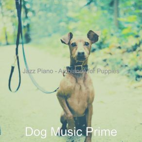 Download track Laid-Back Music For Reducing Dog Stress Dog Music Prime