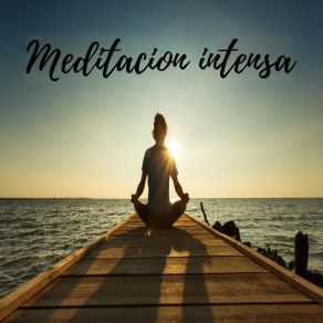 Download track Meditación Trascendental Meditacion Ambiental