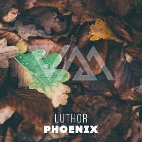 Download track Phoenix (Extended Mix) Luthor