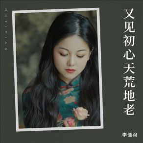 Download track 又见初心天荒地老 (DJ南仔版) 李佳羽