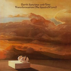 Download track The Play & Display Of The Heart The Tone, David Sancious