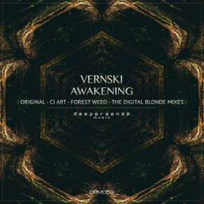 Download track Awakening (CJ Art Remix) VernskiCJ Art