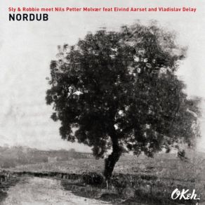 Download track Neil Five (Bonus) Sly & Robbie, Sly!, Eivind Aarset, Vladislav Delay, Robbie Meet Nils Petter Molvaer