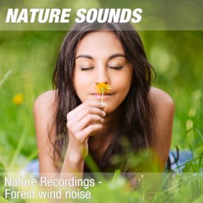 Download track Nature Sounds For Sleeping, Relaxing Exercises & Acupressure (Soothing Forest, Wind) 17 Nature SoundsThe Wind