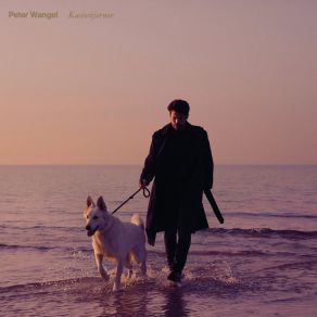 Download track Sorte Fugle Peter Wangel