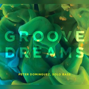 Download track Orbit (Unless It's You) Peter Dominguez