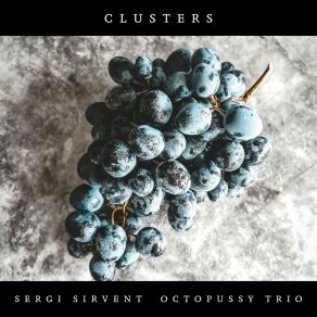 Download track Clusters Sergi Sirvent Octopussy Trio