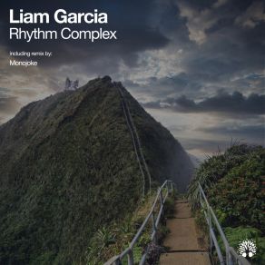 Download track Rhythm Complex (Monojoke Remix) Liam GarciaMonojoke