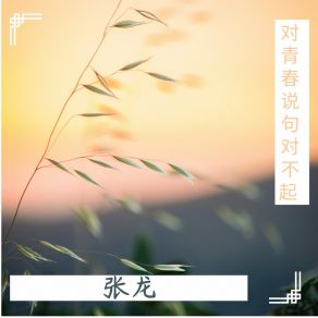 Download track 对青春说句对不起 (吉他版) 张龙