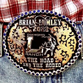 Download track Last Cowboy Song Brian Lumley