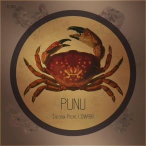 Download track INN938 Punu