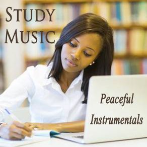 Download track My Sweet Lord (Instrumental Version) Study Music