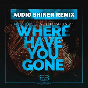 Download track Where Have You Gone (Audio Shiner Extended Remix) Nico Schestak