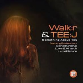 Download track Something About You (Silence Groove Remix) Tee J, Walk: RSilence Groove