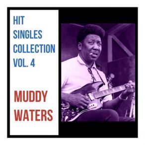 Download track Walking Thru The Park Muddy Waters