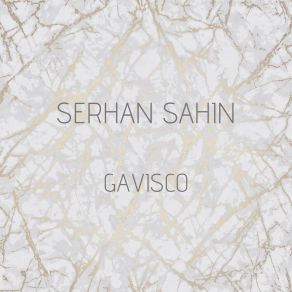 Download track Gavisco Serhan Sahin