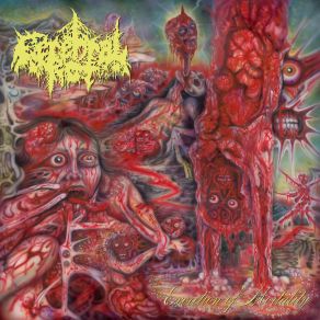 Download track Bowels Of Decrepitude Cerebral Rot