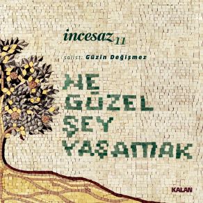 Download track Boğaziçi Şen Gönüller Yatağı İncesaz