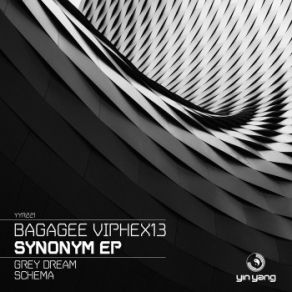 Download track Schema (Original Mix) Bagagee Viphex13