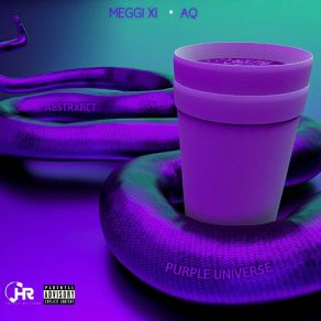 Download track Interlude Meggi XI