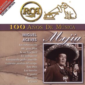 Download track El Crucifijo De Piedra Miguel Aceves Mejía