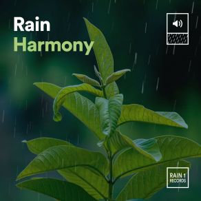 Download track Rain Harmony, Pt. 20 Rainfall