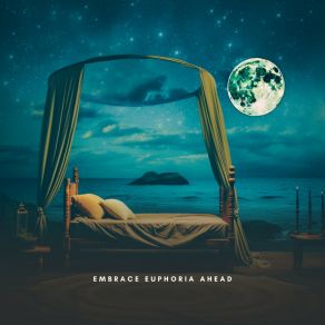 Download track Embrace Euphoria Ahead Relaxing Radiance