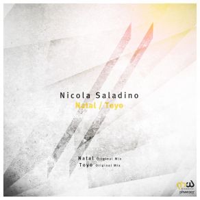 Download track Toyo Nicola Saladino