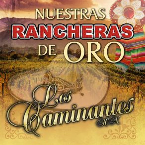 Download track Las Gaviotas Los Caminantes HN