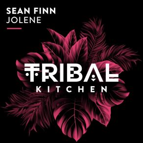 Download track Jolene (Extended Mix) Sean Finn