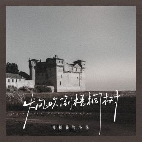 Download track 大风吹倒梧桐树 (伴奏) 弹棉花的小花