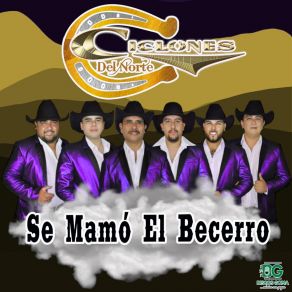 Download track El Alebrije Ciclones Del Norte