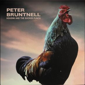 Download track Sharks Peter Bruntnell