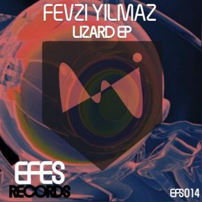 Download track Lizard (Original Mix) Fevzi Yilmaz