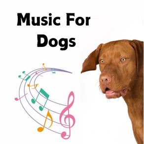 Download track Heavy Eyes Calm Pets Music Academy