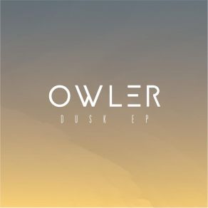 Download track Spent Searching Owler