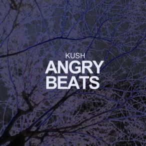 Download track Angry Beats (Original Mix) Kush