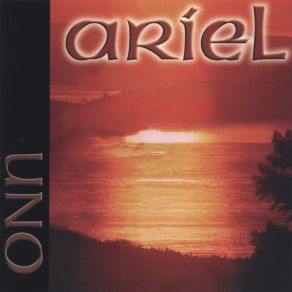 Download track Me Desearás Ariel