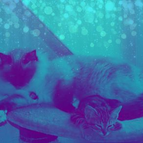 Download track Mind-Blowing Home With Cats Relaxing Music For Cats