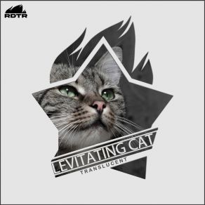 Download track Translucent Levitating Cat