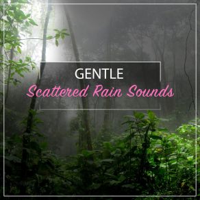 Download track Birds Dancing In The Rain Ambient Nature Project