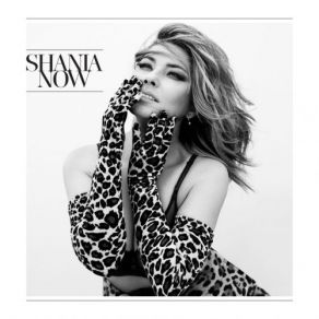 Download track Swingin' With My Eyes Closed Shania Twain